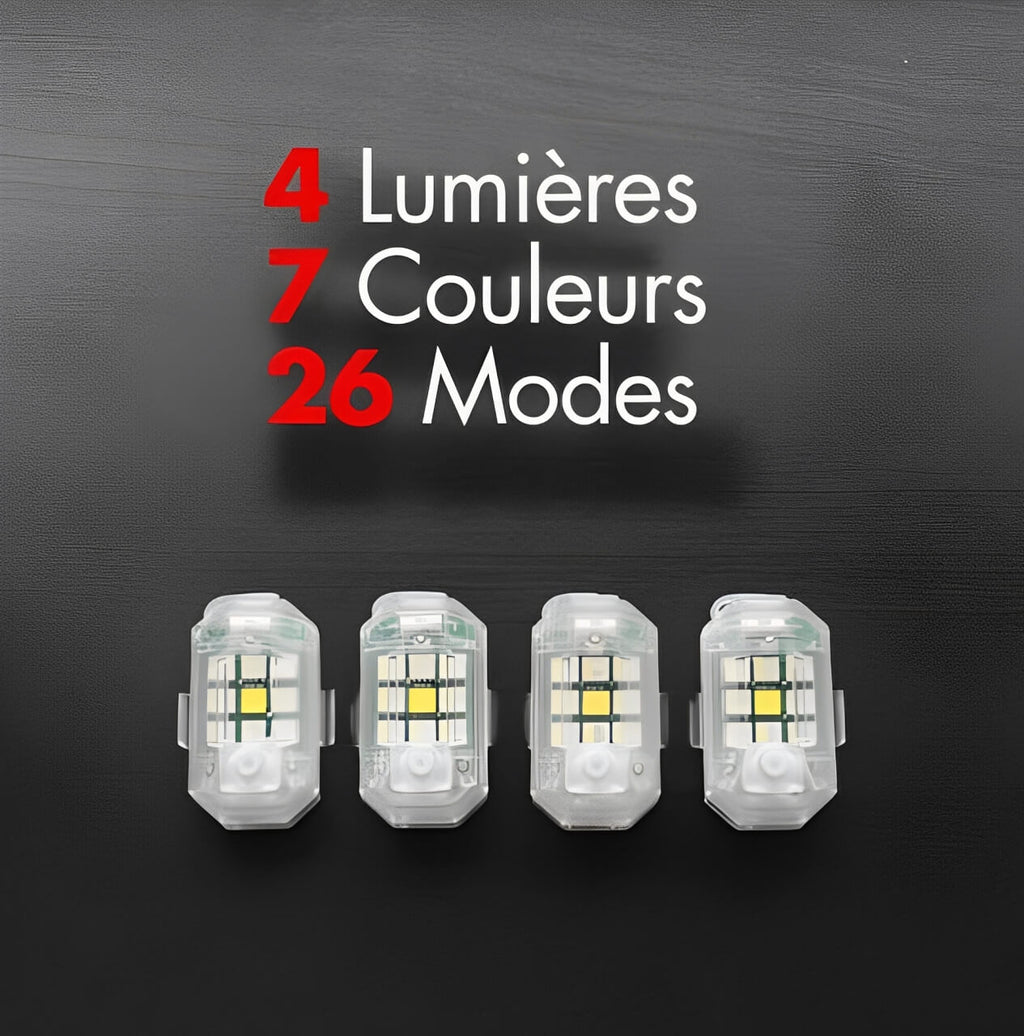 FLYLIGHTS