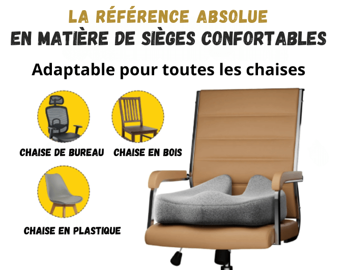 Coussins de soutien dorsal et lombaire
