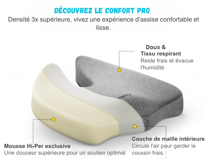 Coussins de soutien dorsal et lombaire