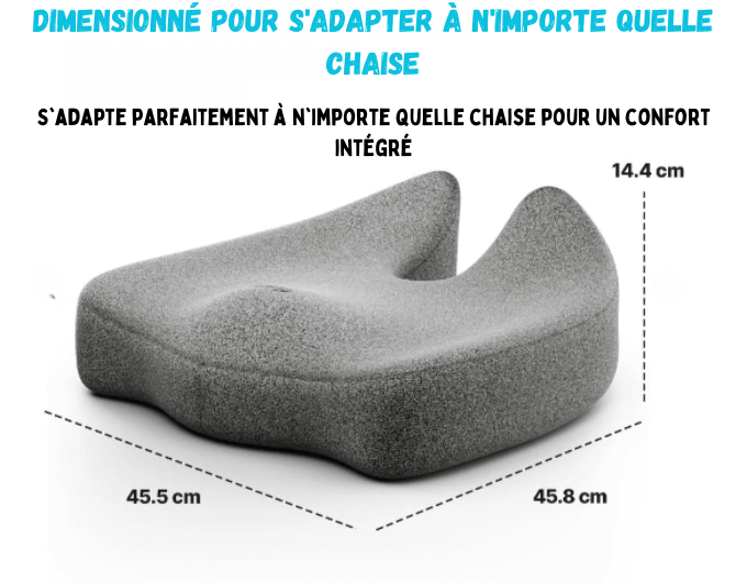 Coussins de soutien dorsal et lombaire