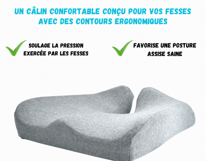 Coussins de soutien dorsal et lombaire
