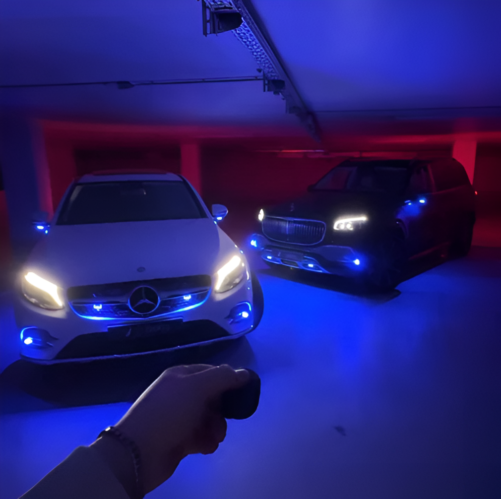 FLYLIGHTS