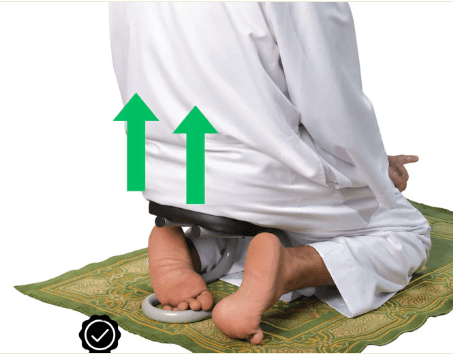 دعامة الجلوس بعد السجود